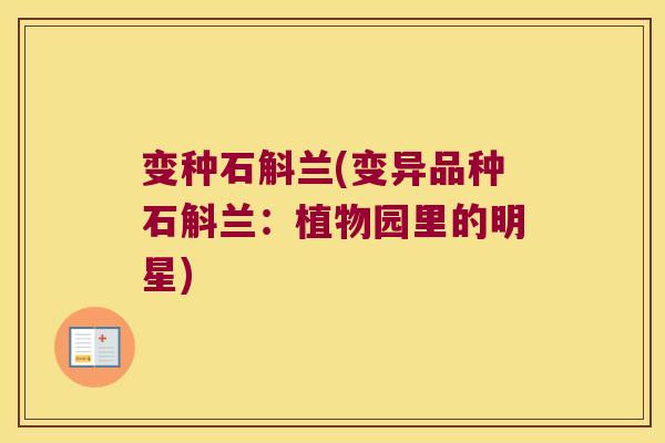 变种石斛兰(变异品种石斛兰：植物园里的明星)
