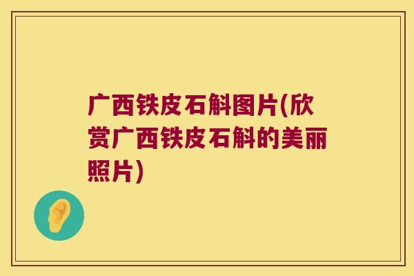 广西铁皮石斛图片(欣赏广西铁皮石斛的美丽照片)