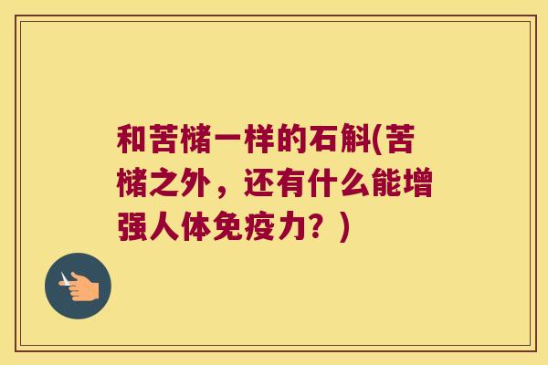 和苦槠一样的石斛(苦槠之外,还有什么能增强人体力?) 和苦槠一样的石斛(苦槠之外,还有什么能增强人体力?)