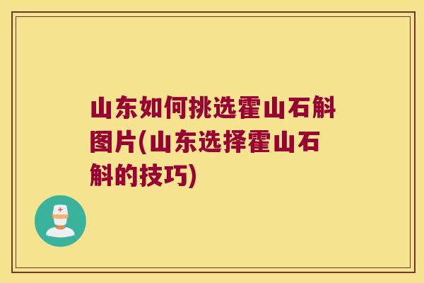 山东如何挑选霍山石斛图片(山东选择霍山石斛的技巧)