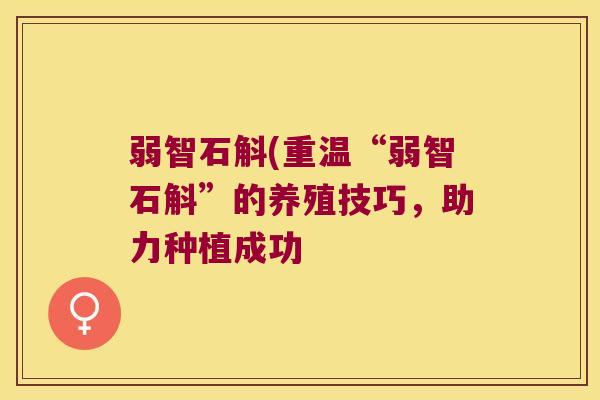 弱智石斛(重温“弱智石斛”的养殖技巧,助力种植成功 弱智石斛(重温“弱智石斛”的养殖技巧,助力种植成功