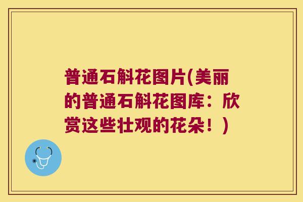 普通石斛花图片(美丽的普通石斛花图库：欣赏这些壮观的花朵！)