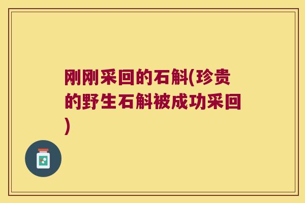 刚刚采回的石斛(珍贵的野生石斛被成功采回)