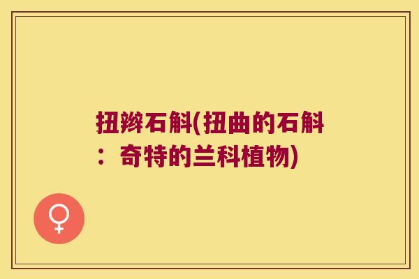 扭辫石斛(扭曲的石斛:奇特的兰科植物) 扭辫石斛(扭曲的石斛:奇特的兰科植物)