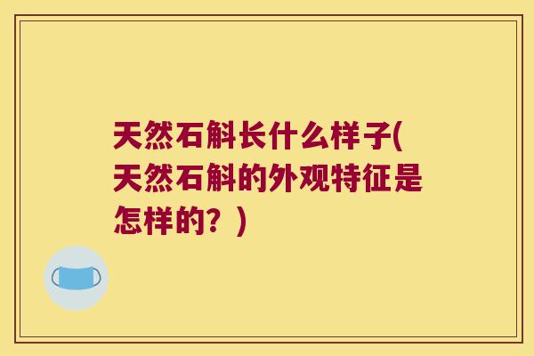 天然石斛长什么样子(天然石斛的外观特征是怎样的？)