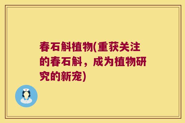 春石斛植物(重获关注的春石斛,成为植物研究的新宠) 春石斛植物(重获关注的春石斛,成为植物研究的新宠)