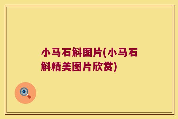 小马石斛图片(小马石斛精美图片欣赏) 小马石斛图片(小马石斛精美图片欣赏)