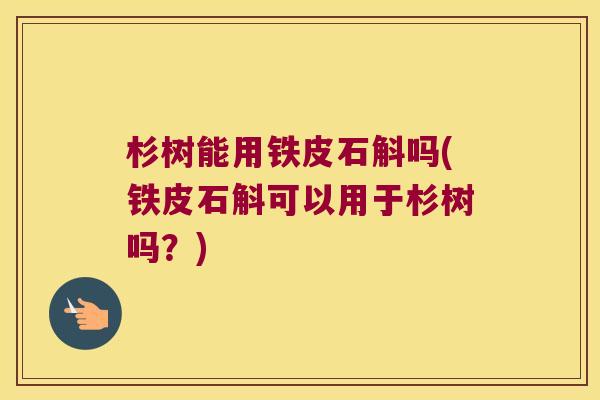 杉树能用铁皮石斛吗(铁皮石斛可以用于杉树吗？)