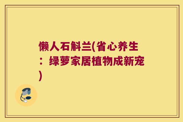 懒人石斛兰(省心养生:绿萝家居植物成新宠) 懒人石斛兰(省心养生:绿萝家居植物成新宠)