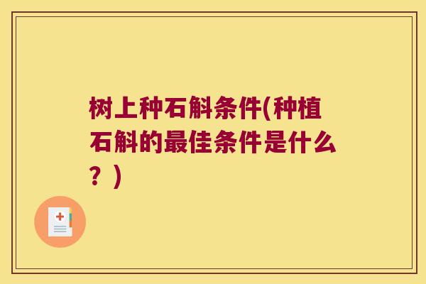 树上种石斛条件(种植石斛的最佳条件是什么？)