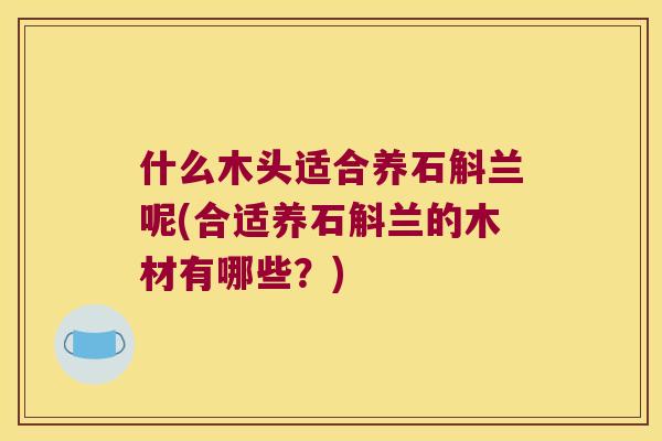 什么木头适合养石斛兰呢(合适养石斛兰的木材有哪些？)