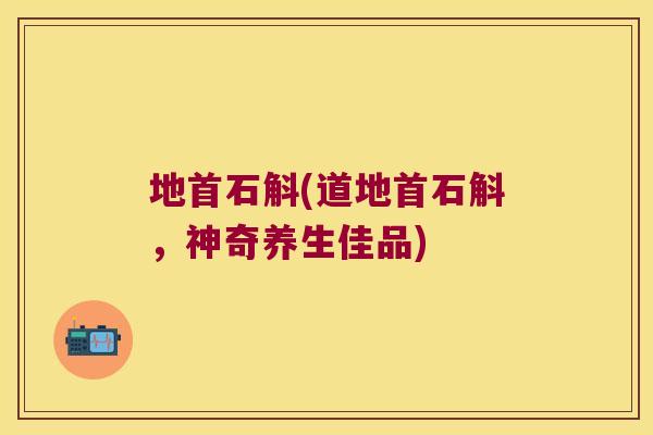 地首石斛(道地首石斛，神奇养生佳品)