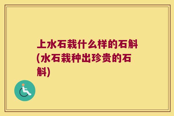上水石栽什么样的石斛(水石栽种出珍贵的石斛)