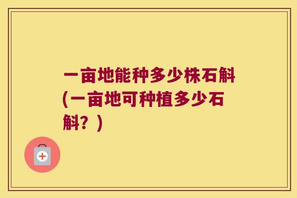 一亩地能种多少株石斛(一亩地可种植多少石斛？)