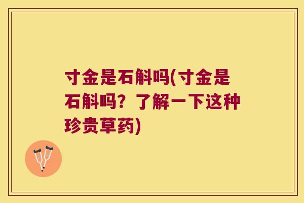 寸金是石斛吗(寸金是石斛吗？了解一下这种珍贵草药)