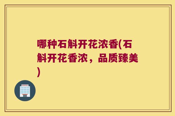 哪种石斛开花浓香(石斛开花香浓，品质臻美)