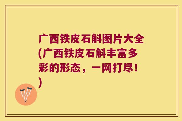 广西铁皮石斛图片大全(广西铁皮石斛丰富多彩的形态,一网打尽!) 广西铁皮石斛图片大全(广西铁皮石斛丰富多彩的形态,一网打尽!)