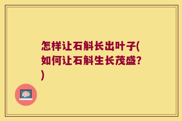 怎样让石斛长出叶子(如何让石斛生长茂盛？)