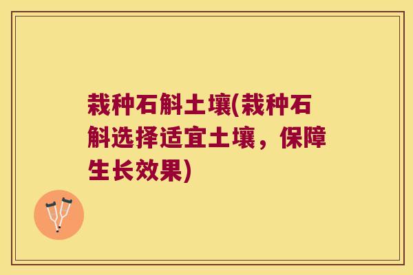 栽种石斛土壤(栽种石斛选择适宜土壤，保障生长效果)