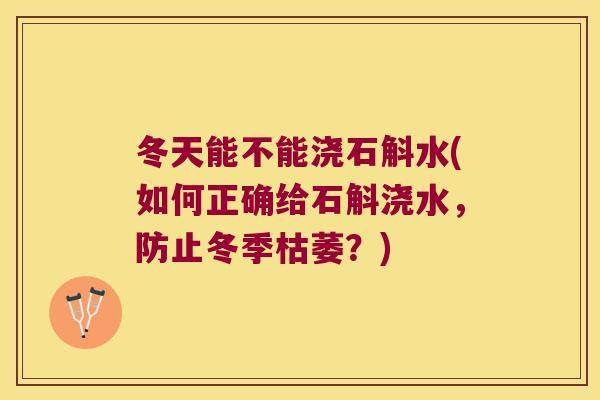冬天能不能浇石斛水(如何正确给石斛浇水，防止冬季枯萎？)