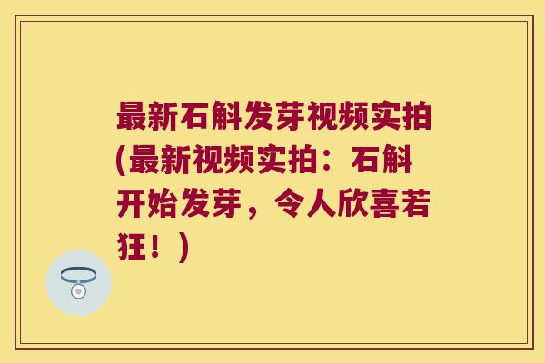 新石斛发芽视频实拍(新视频实拍:石斛开始发芽,令人欣喜若狂!) 新石斛发芽视频实拍(新视频实拍:石斛开始发芽,令人欣喜若狂!)