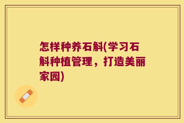 怎样种养石斛(学习石斛种植管理，打造美丽家园)