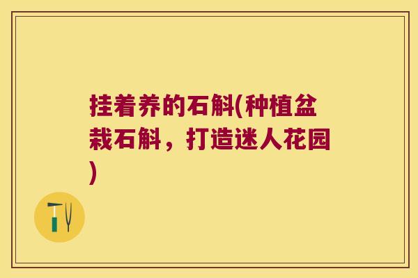 挂着养的石斛(种植盆栽石斛,打造迷人花园) 挂着养的石斛(种植盆栽石斛,打造迷人花园)
