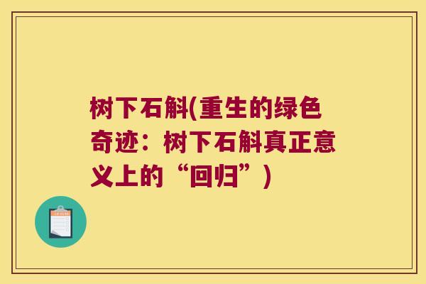 树下石斛(重生的绿色奇迹：树下石斛真正意义上的“回归”)