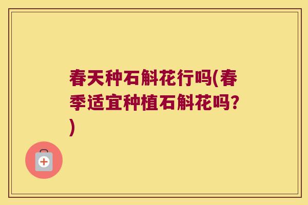 春天种石斛花行吗(春季适宜种植石斛花吗？)