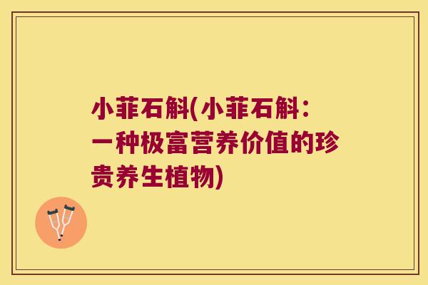 小菲石斛(小菲石斛:一种极富营养价值的珍贵养生植物) 小菲石斛(小菲石斛:一种极富营养价值的珍贵养生植物)
