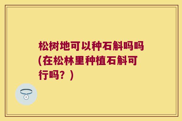 松树地可以种石斛吗吗(在松林里种植石斛可行吗？)