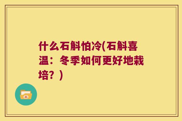 什么石斛怕冷(石斛喜温：冬季如何更好地栽培？)