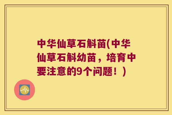 中华仙草石斛苗(中华仙草石斛幼苗，培育中要注意的9个问题！)