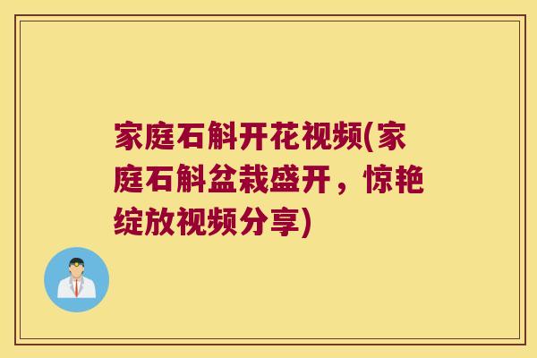 家庭石斛开花视频(家庭石斛盆栽盛开，惊艳绽放视频分享)