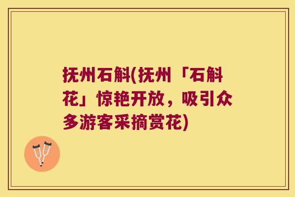抚州石斛(抚州「石斛花」惊艳开放,吸引众多游客采摘赏花) 抚州石斛(抚州「石斛花」惊艳开放,吸引众多游客采摘赏花)