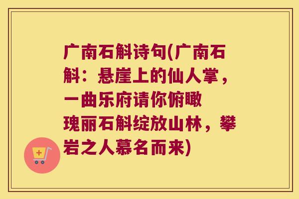 广南石斛诗句(广南石斛:悬崖上的仙人掌,一曲乐府请你俯瞰 瑰丽石斛绽放山林,攀岩之人慕名而来) 广南石斛诗句(广南石斛:悬崖上的仙人掌,一曲乐府请你俯瞰 瑰丽石斛绽放山林,攀岩之人慕名而来)