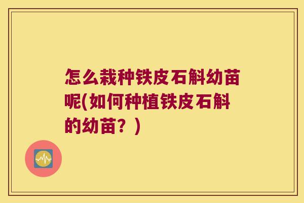 怎么栽种铁皮石斛幼苗呢(如何种植铁皮石斛的幼苗？)