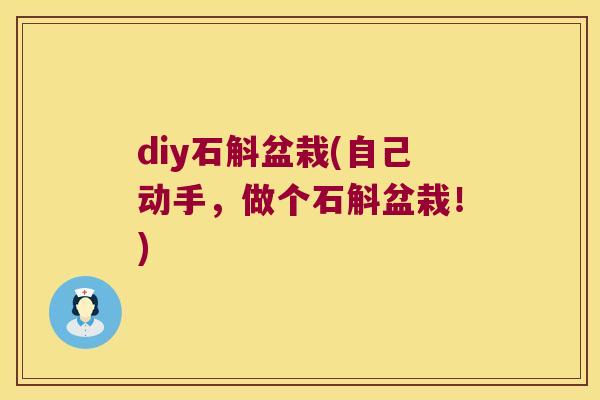 diy石斛盆栽(自己动手，做个石斛盆栽！)