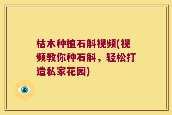枯木种植石斛视频(视频教你种石斛，轻松打造私家花园)