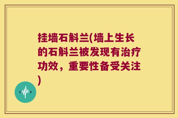 挂墙石斛兰(墙上生长的石斛兰被发现有功效，重要性备受关注)