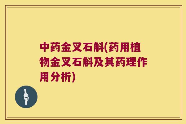 中药金叉石斛(药用植物金叉石斛及其药理作用分析)