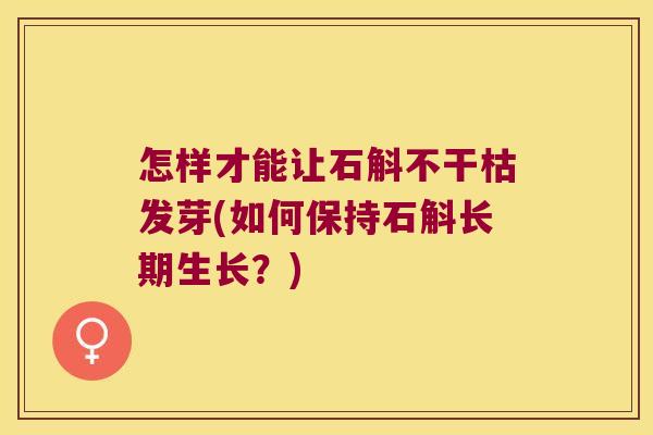 怎样才能让石斛不干枯发芽(如何保持石斛长期生长？)