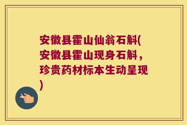 安徽县霍山仙翁石斛(安徽县霍山现身石斛，珍贵药材标本生动呈现)