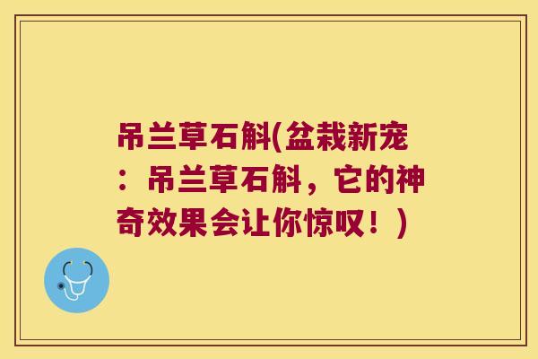 吊兰草石斛(盆栽新宠：吊兰草石斛，它的神奇效果会让你惊叹！)