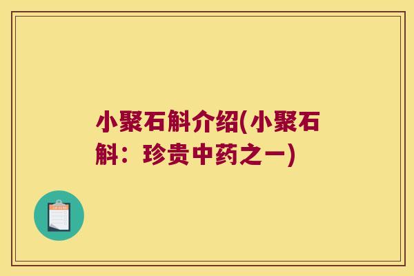 小聚石斛介绍(小聚石斛:珍贵之一) 小聚石斛介绍(小聚石斛:珍贵之一)