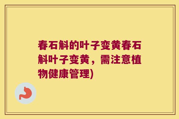 春石斛的叶子变黄春石斛叶子变黄，需注意植物健康管理)