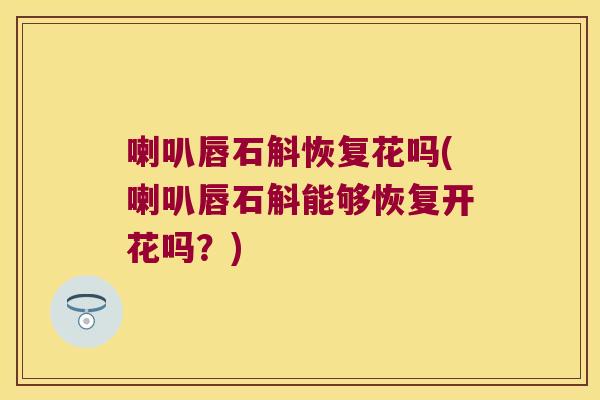 喇叭唇石斛恢复花吗(喇叭唇石斛能够恢复开花吗？)
