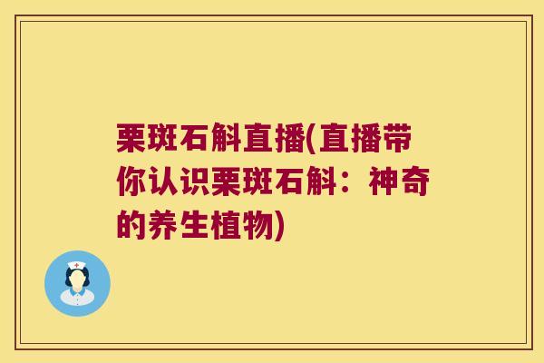 栗斑石斛直播(直播带你认识栗斑石斛:神奇的养生植物) 栗斑石斛直播(直播带你认识栗斑石斛:神奇的养生植物)