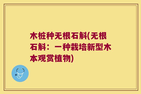 木桩种无根石斛(无根石斛:一种栽培新型木本观赏植物) 木桩种无根石斛(无根石斛:一种栽培新型木本观赏植物)