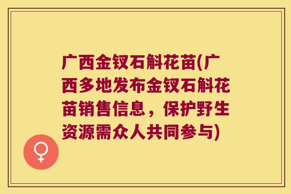 广西金钗石斛花苗(广西多地发布金钗石斛花苗销售信息,保护野生资源需众人共同参与) 广西金钗石斛花苗(广西多地发布金钗石斛花苗销售信息,保护野生资源需众人共同参与)